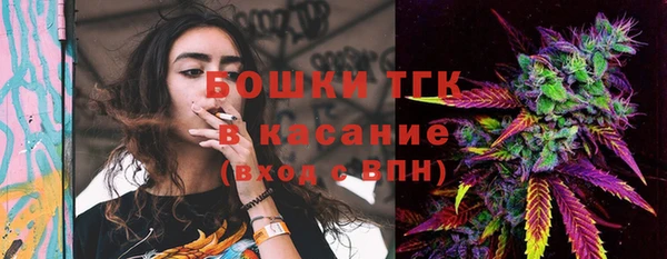 бошки Богородицк