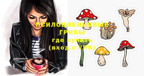 apvp Балахна