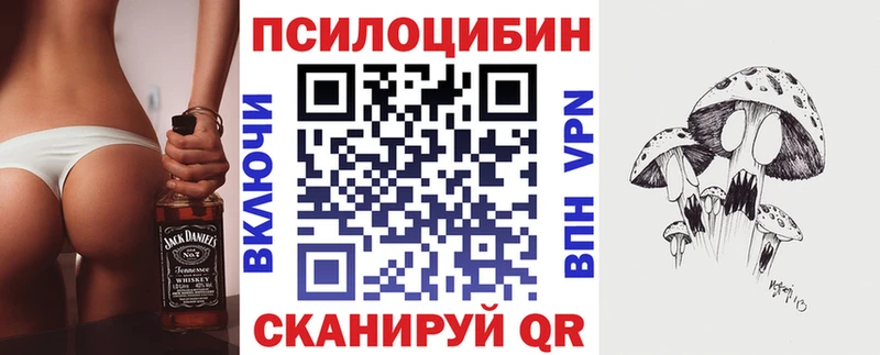 наркота Озёрск Псилоцибиновые грибы Magic Shrooms